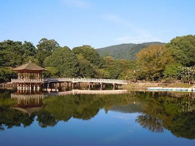 Nara park pic